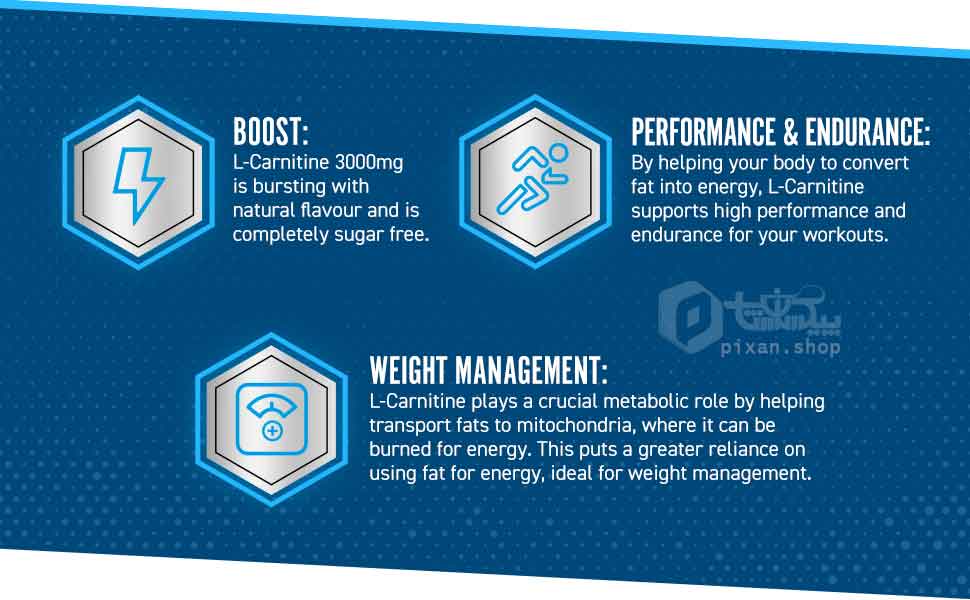 ال کارنیتین 1500 میلی گرم اپلاید نوتریشن-کپسول های گیاهی-مشخصه ها-بنر|مکمل پیکسان